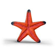 Schleich Color Changing Starfish 14902 realistic Wild Life ocean animal figure with temperature-activated colour-changing feature