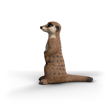 Schleich - Meerkat 14935