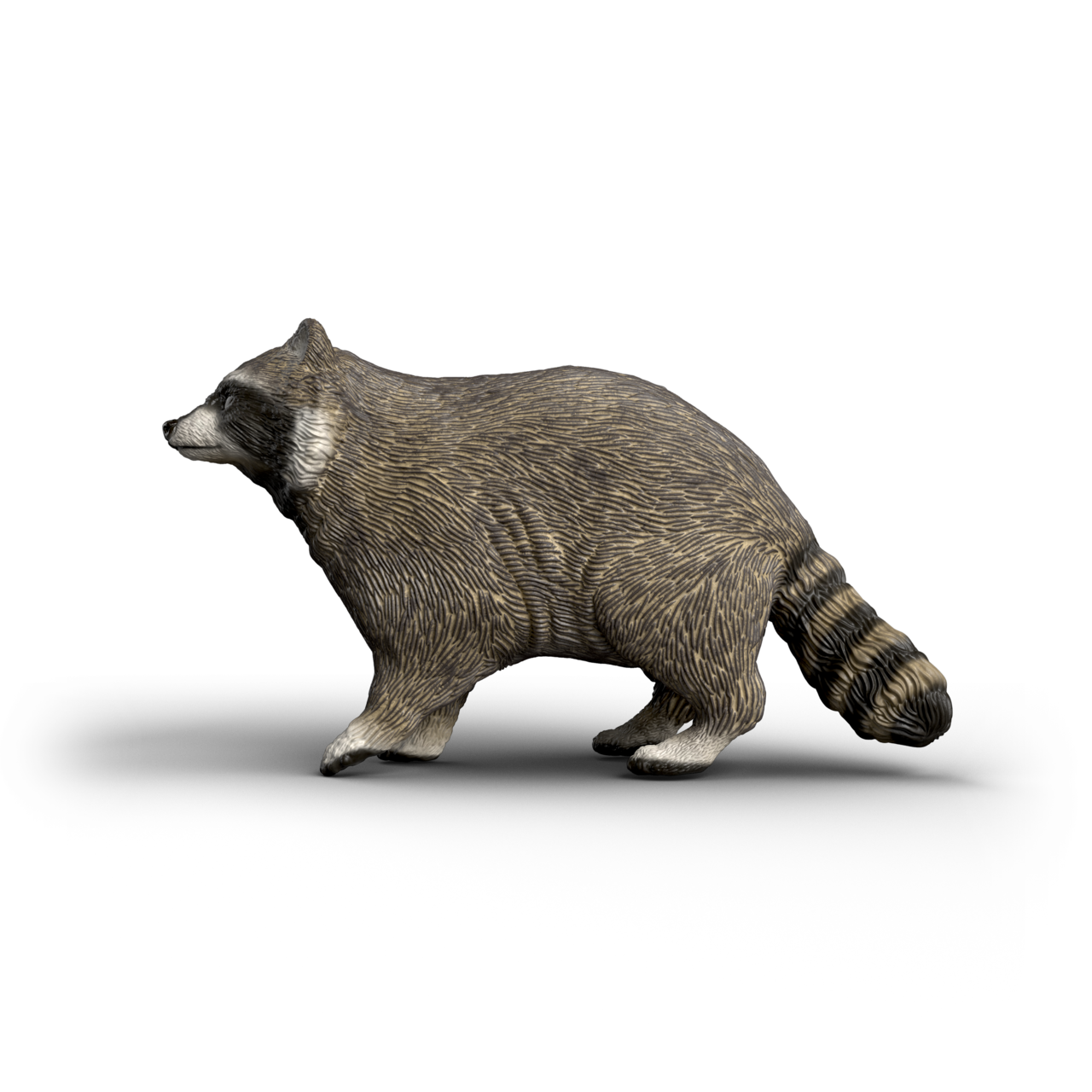 Schleich Raccoon 14937 realistic hand-painted WILD LIFE woodland animal toy figure with striped tail