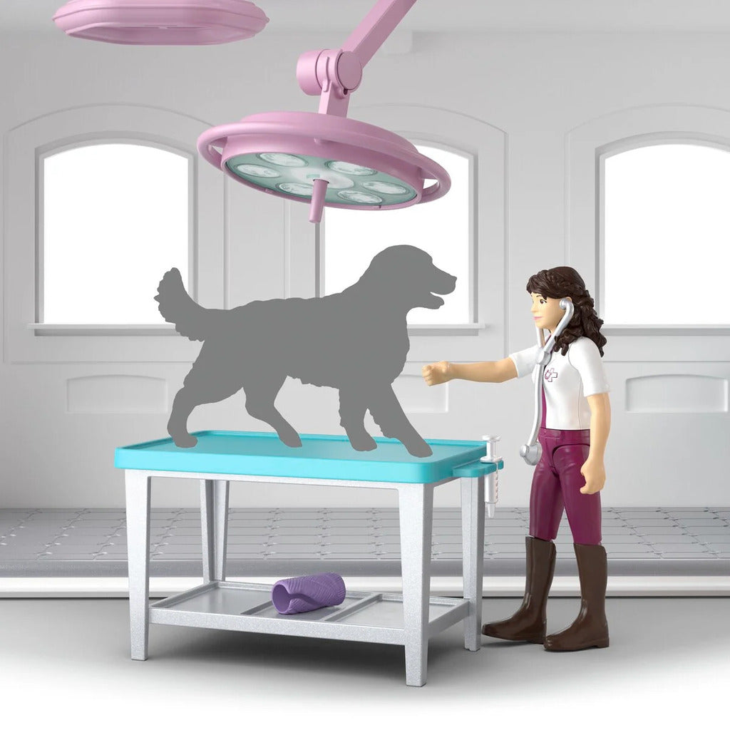 Close-up of the veterinary accessories included with the Happy Horse Hospital playset