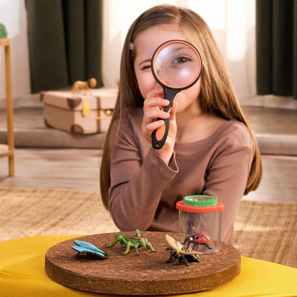 Insects Discovery Set packaging showing the hand-painted bug figures included in the pack
