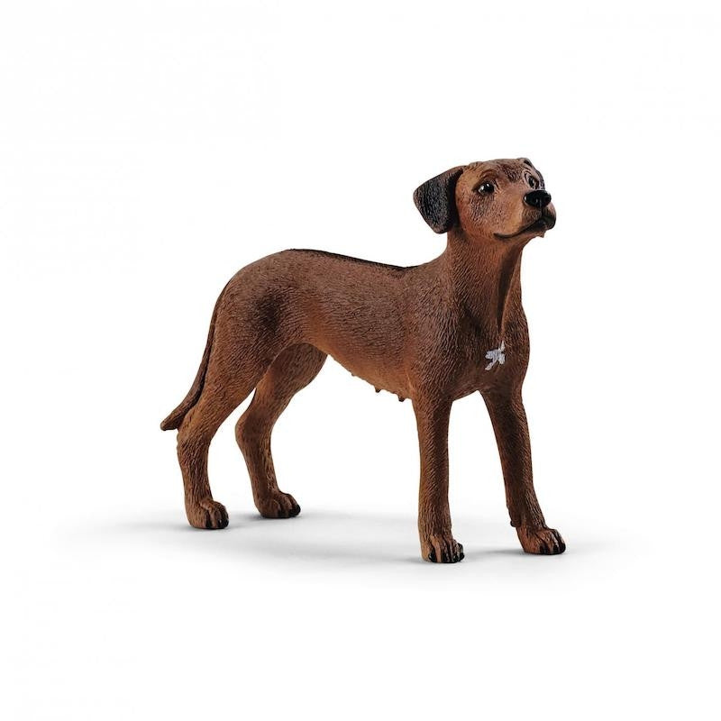Schleich - Rhodesian Ridgeback 13895