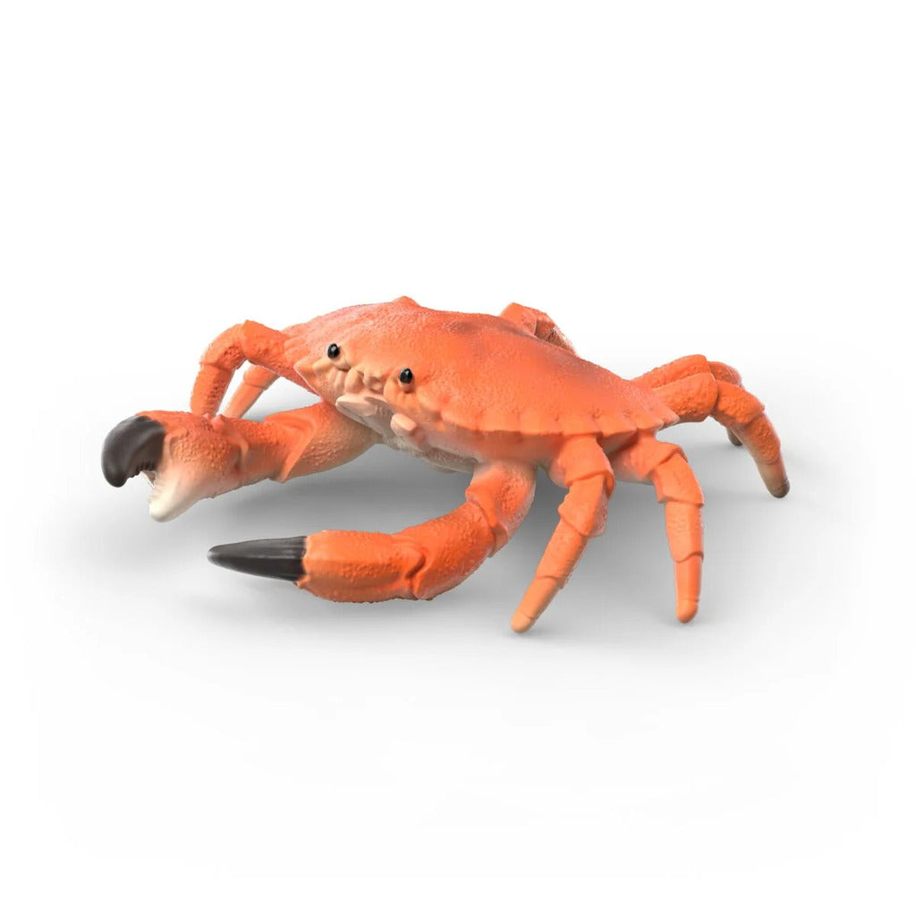 Single marine figure from the Sea Animals Discovery Set shown in profile with painted markings