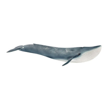 Schleich - Blue Whale 14806
