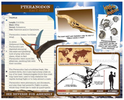 Heebie Jeebies - Dino Kit Small Pteranodon