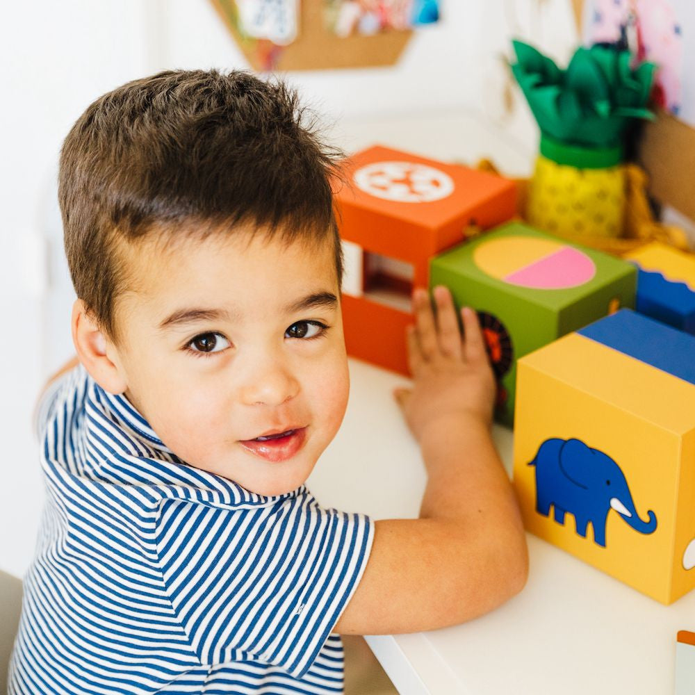 Smart Games - Peek-a-Zoo