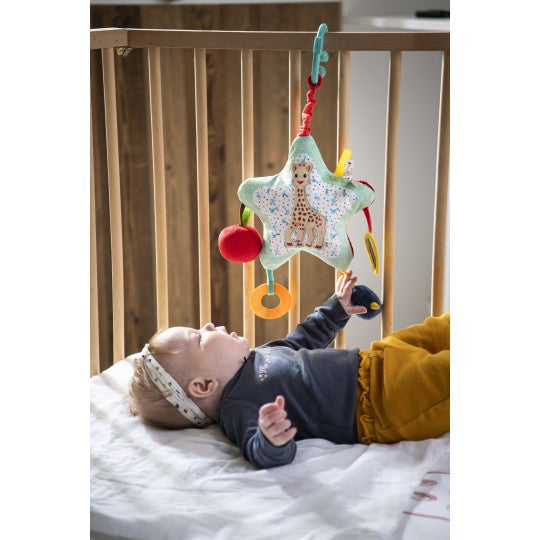 Sophie the Giraffe - Star Activity Toy