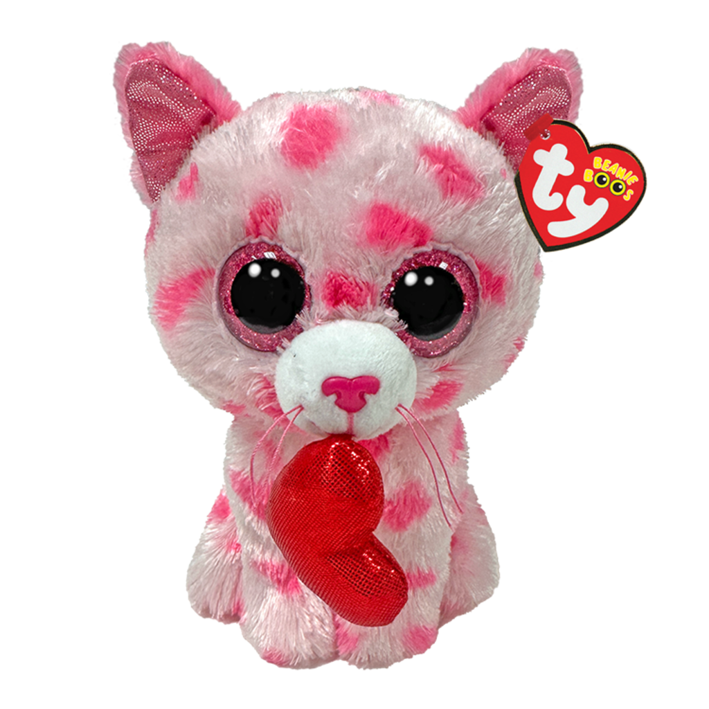 The Sweet the Cat Ty Beanie Boo collectible plush toy shown front-on against a white studio background