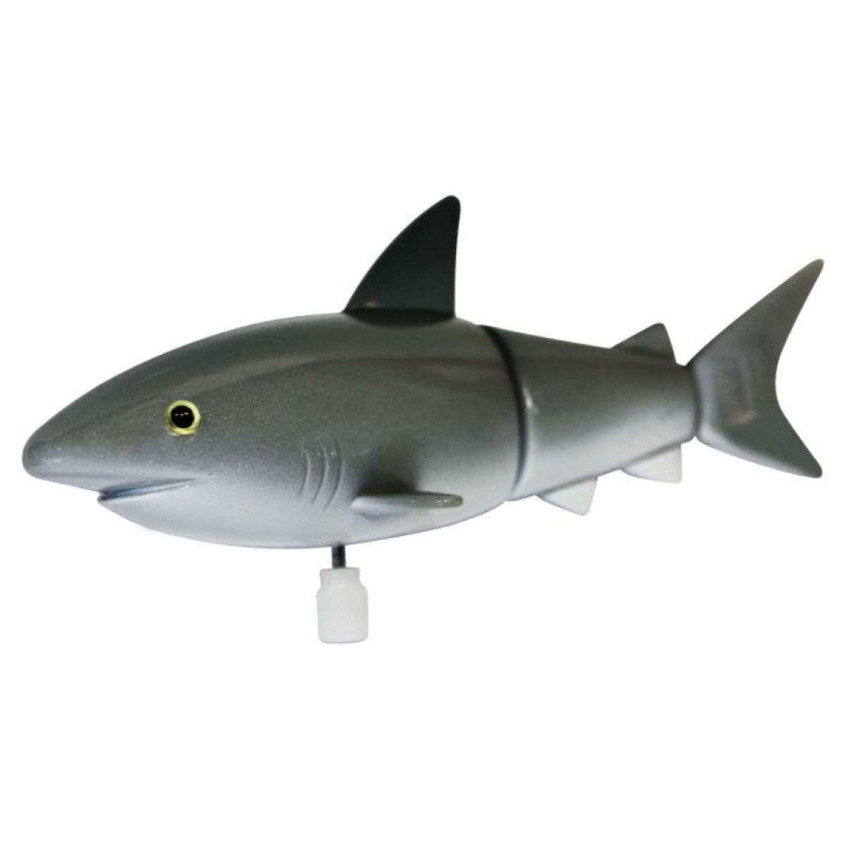 The Australian Collection Wind Up Aussie Shark toy in assorted colours