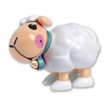 Tolo - First Friends Lamb