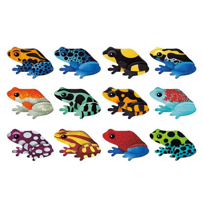 Mudpuppy - Shaped Memory Match - Tropical Frogs