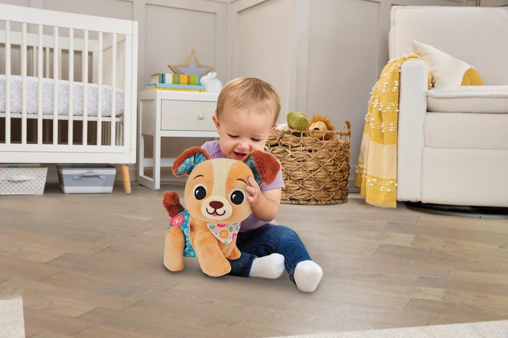 Walk and Wag Puppy packaging showing the soft interactive baby toy artwork and age recommendation