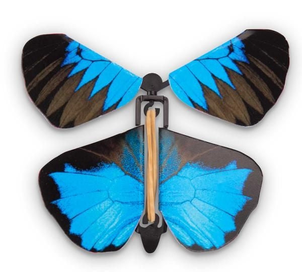 Heebie Jeebies - Wind up Australian Butterflies