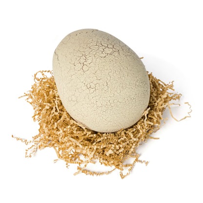 Jurassic World Primal Hatch Interactive Hatching T-Rex Dinosaur